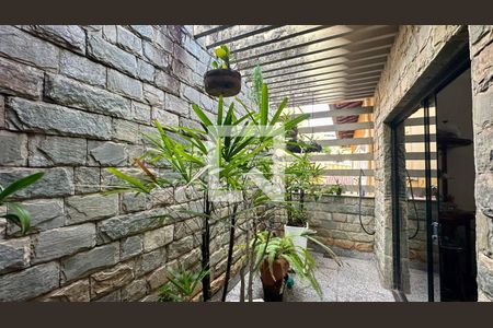 Jardim inverno  de casa à venda com 4 quartos, 282m² em Parque Sao Joao Batista, Belo Horizonte