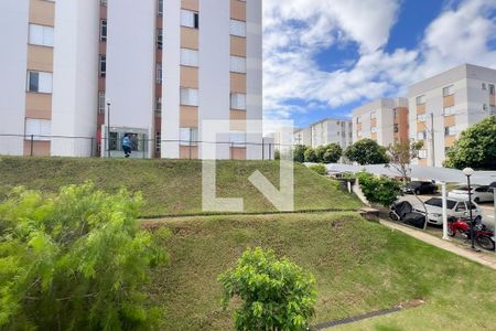 Apartamento para alugar com 2 quartos, 50m² em Chácaras Alpina, Valinhos