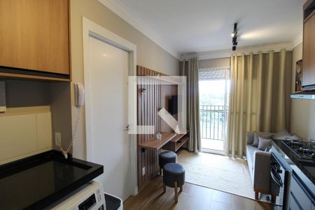 Cozinha de apartamento para alugar com 1 quarto, 25m² em Vila Butantã, São Paulo