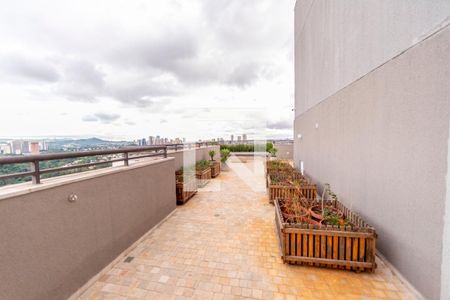 Terraço de apartamento à venda com 2 quartos, 55m² em Jardim Tupanci, Barueri