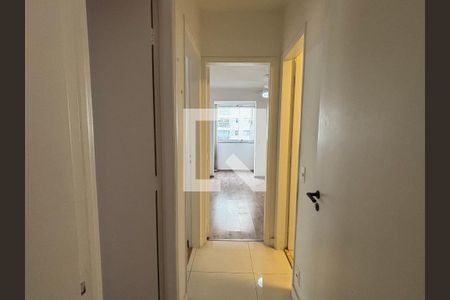 Corredor de apartamento à venda com 3 quartos, 80m² em Chácara Inglesa, São Paulo