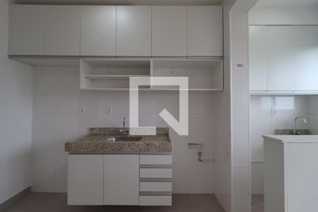 Cozinha de apartamento para alugar com 2 quartos, 48m² em Recreio das Acacias, Ribeirão Preto