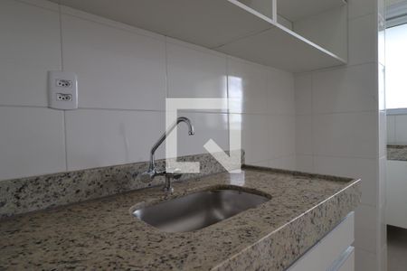 Cozinha de apartamento para alugar com 2 quartos, 48m² em Recreio das Acacias, Ribeirão Preto