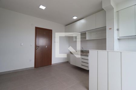 Sala de apartamento para alugar com 2 quartos, 48m² em Recreio das Acacias, Ribeirão Preto