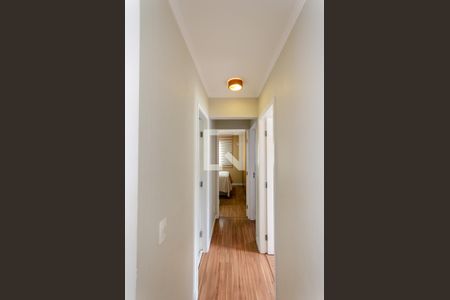 Corredor de apartamento para alugar com 3 quartos, 65m² em Vila Siqueira (zona Norte), São Paulo