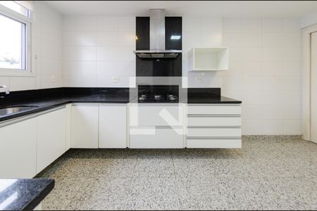Cozinha de apartamento para alugar com 4 quartos, 210m² em Santa Lúcia, Belo Horizonte
