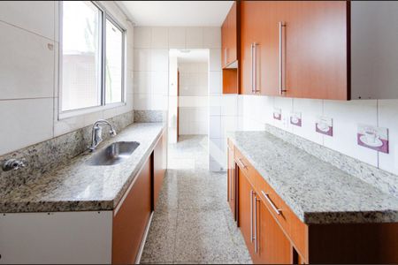 Cozinha de apartamento para alugar com 3 quartos, 110m² em Alto Caiçaras, Belo Horizonte