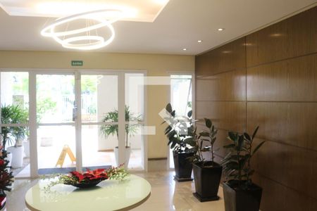 Hall social de apartamento para alugar com 4 quartos, 316m² em Barcelona, São Caetano do Sul