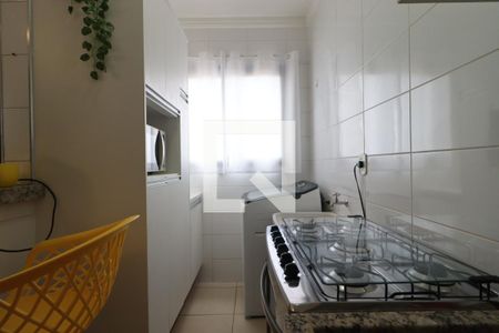 Cozinha de apartamento para alugar com 1 quarto, 45m² em Subsetor Sul - 7 (s-7), Ribeirão Preto