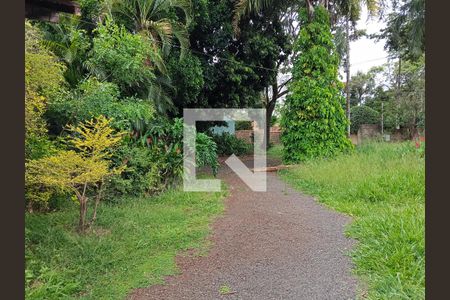 Quintal  de casa para alugar com 4 quartos, 1600m² em Recreio das Acacias, Ribeirão Preto