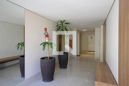 Área comum - Hall de apartamento à venda com 3 quartos, 77m² em Nova Vista, Belo Horizonte
