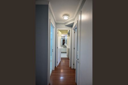 Corredor de apartamento para alugar com 3 quartos, 137m² em Paraíso do Morumbi, São Paulo