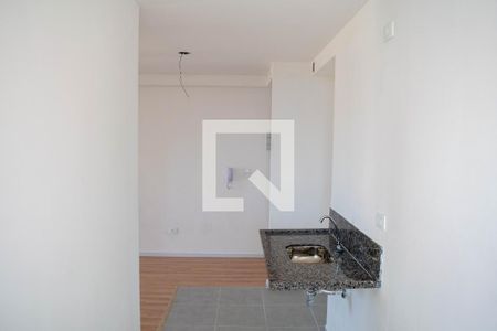 Cozinha e Área de Serviço de apartamento para alugar com 2 quartos, 53m² em Vila Formosa, São Paulo