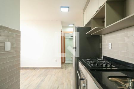 Cozinha e Área de Serviço de apartamento à venda com 2 quartos, 34m² em Vila Palmares, São Caetano do Sul