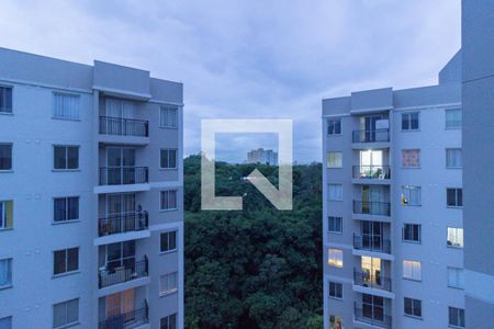 Vista Sala de apartamento para alugar com 2 quartos, 43m² em Vila Pirituba, São Paulo