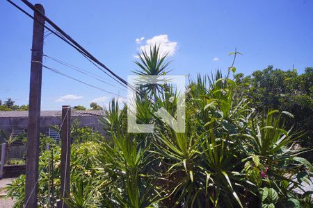 Quarto 2_Vista  de apartamento para alugar com 2 quartos, 81m² em Vila Ipiranga, Porto Alegre