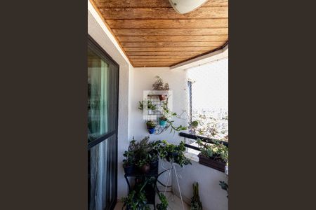Varanda Sala de apartamento à venda com 2 quartos, 55m² em Vila Lais, São Paulo