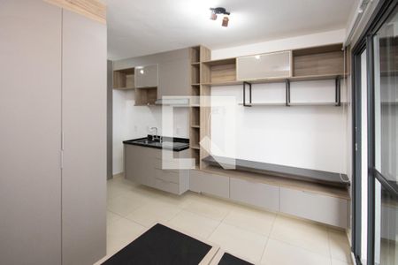 Cozinha - Armários / Quarto de apartamento para alugar com 1 quarto, 30m² em Tucuruvi, São Paulo