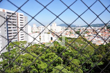 Detalhe - Vista da Varanda da Sala e Sala de Jantar de apartamento para alugar com 3 quartos, 72m² em Moinho Velho, São Paulo