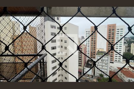 Apartamento para alugar com 3 quartos, 86m² em Vila Itapura, Campinas