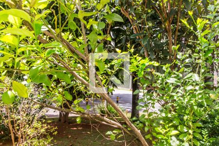 Vista da Sala de apartamento para alugar com 3 quartos, 560m² em Residencial Zero (tambore), Santana de Parnaíba