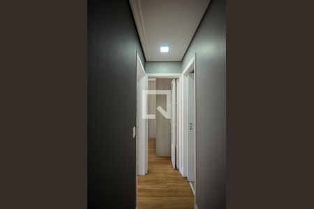 Corredor de apartamento à venda com 2 quartos, 55m² em Jardim Iris, São Paulo