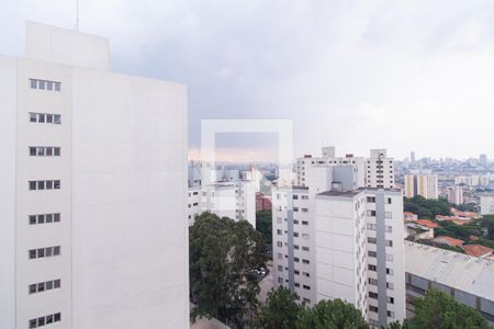 Vista do Quarto 1 de apartamento à venda com 3 quartos, 92m² em Vila Monumento, São Paulo