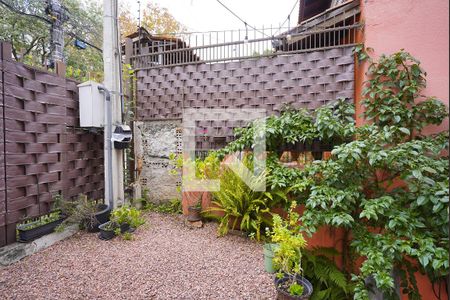 Pátio fundos de casa para alugar com 3 quartos, 202m² em Tristeza, Porto Alegre