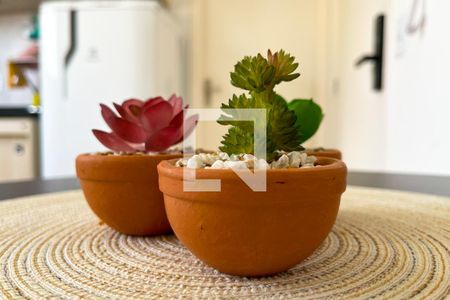 Sala/Cozinha de apartamento para alugar com 1 quarto, 24m² em Santa Cecilia, São Paulo