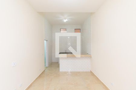 Studio de casa para alugar com 1 quarto, 25m² em Vila Prudente, São Paulo