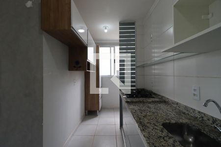 Cozinha de apartamento para alugar com 2 quartos, 49m² em Adelino Simioni, Ribeirão Preto