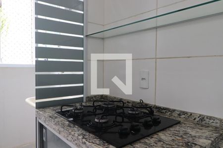 Cozinha de apartamento para alugar com 2 quartos, 49m² em Adelino Simioni, Ribeirão Preto