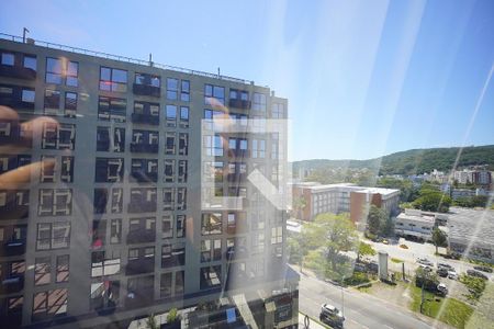 Vista de kitnet/studio para alugar com 1 quarto, 31m² em Trindade, Florianópolis