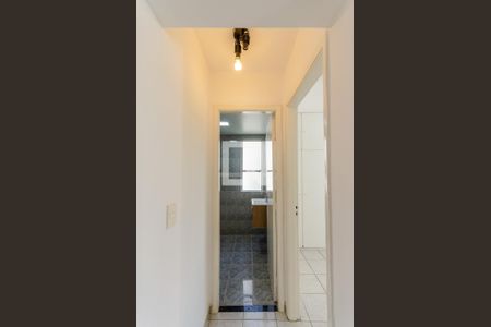 Corredor de apartamento para alugar com 2 quartos, 65m² em Jardim Iris, São Paulo