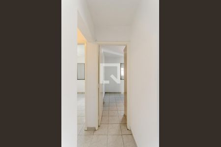 Corredor de apartamento para alugar com 2 quartos, 65m² em Jardim Iris, São Paulo