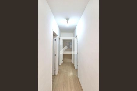 Corredor  de apartamento à venda com 3 quartos, 64m² em Vila Faustina Ii, Campinas