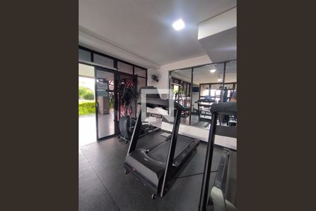 Área comum - Academia de apartamento para alugar com 2 quartos, 72m² em Vila Bandeirantes, São Paulo