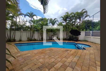 Área comum - Piscina de apartamento para alugar com 2 quartos, 72m² em Vila Bandeirantes, São Paulo