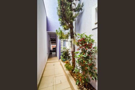 Quintal de casa à venda com 3 quartos, 150m² em Vila Curuçá, Santo André