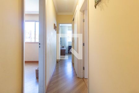 Corredor de apartamento para alugar com 3 quartos, 65m² em Batel, Curitiba