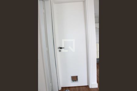 Portas com Passagem para Gatos de apartamento para alugar com 2 quartos, 46m² em Vila Buarque, São Paulo