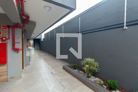 Área comum de apartamento para alugar com 2 quartos, 38m² em Vila Cruzeiro, São Paulo