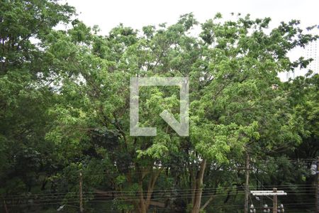 Sacada de apartamento à venda com 1 quarto, 34m² em Vila Monte Alegre, São Paulo