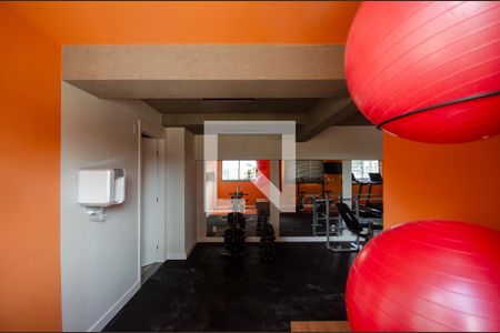 Área comum - Academia de apartamento para alugar com 2 quartos, 44m² em Vila Albertina, São Paulo