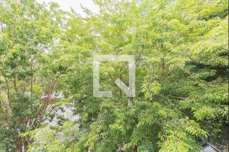 Vista do Quarto 1 de apartamento à venda com 2 quartos, 48m² em Parque São Jorge, Campinas