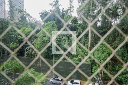 Vista da Sala de apartamento para alugar com 3 quartos, 85m² em Jardim Ampliacao, São Paulo
