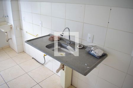 Cozinha de apartamento para alugar com 2 quartos, 55m² em Recanto das Palmeiras, Ribeirão Preto