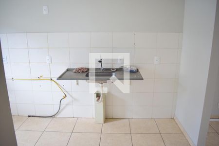 Cozinha de apartamento para alugar com 2 quartos, 55m² em Recanto das Palmeiras, Ribeirão Preto