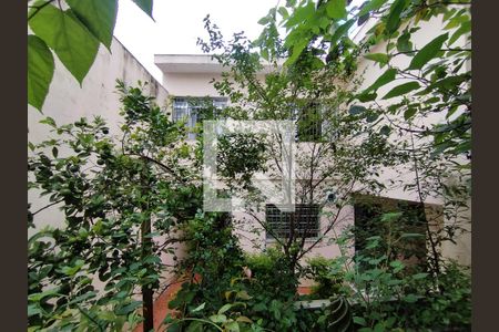 Quintal  de casa à venda com 3 quartos, 246m² em Vila Natalia, São Paulo