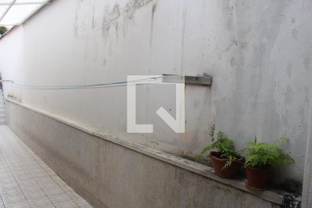 Área de Serviço de casa à venda com 3 quartos, 200m² em Oswaldo Cruz, São Caetano do Sul